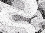 nokta-calismalari-03