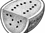 nokta-calismalari-05