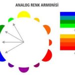analog renk armonisi